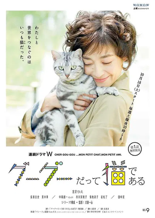 【日本剧】咕咕是一只猫