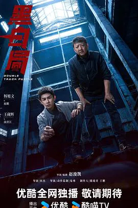 【国产剧】黑白局