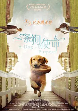 【剧情片】一条狗的使命