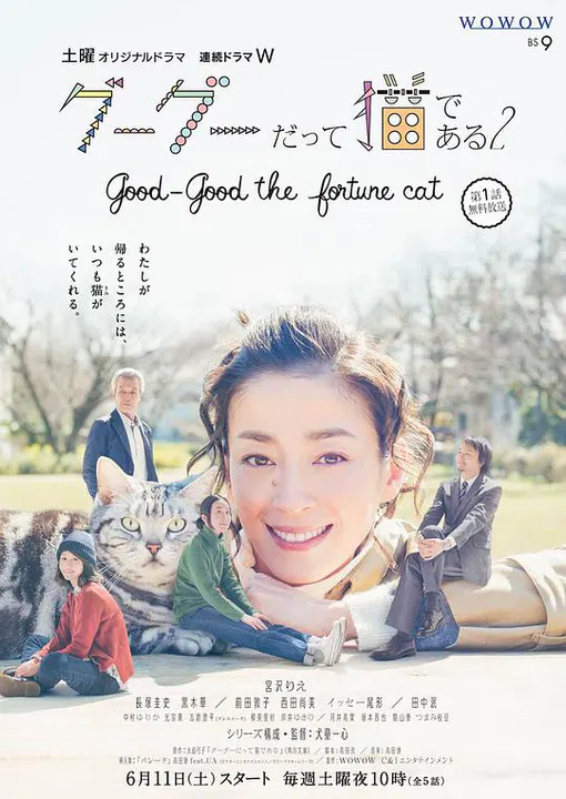 【日本剧】咕咕是一只猫2